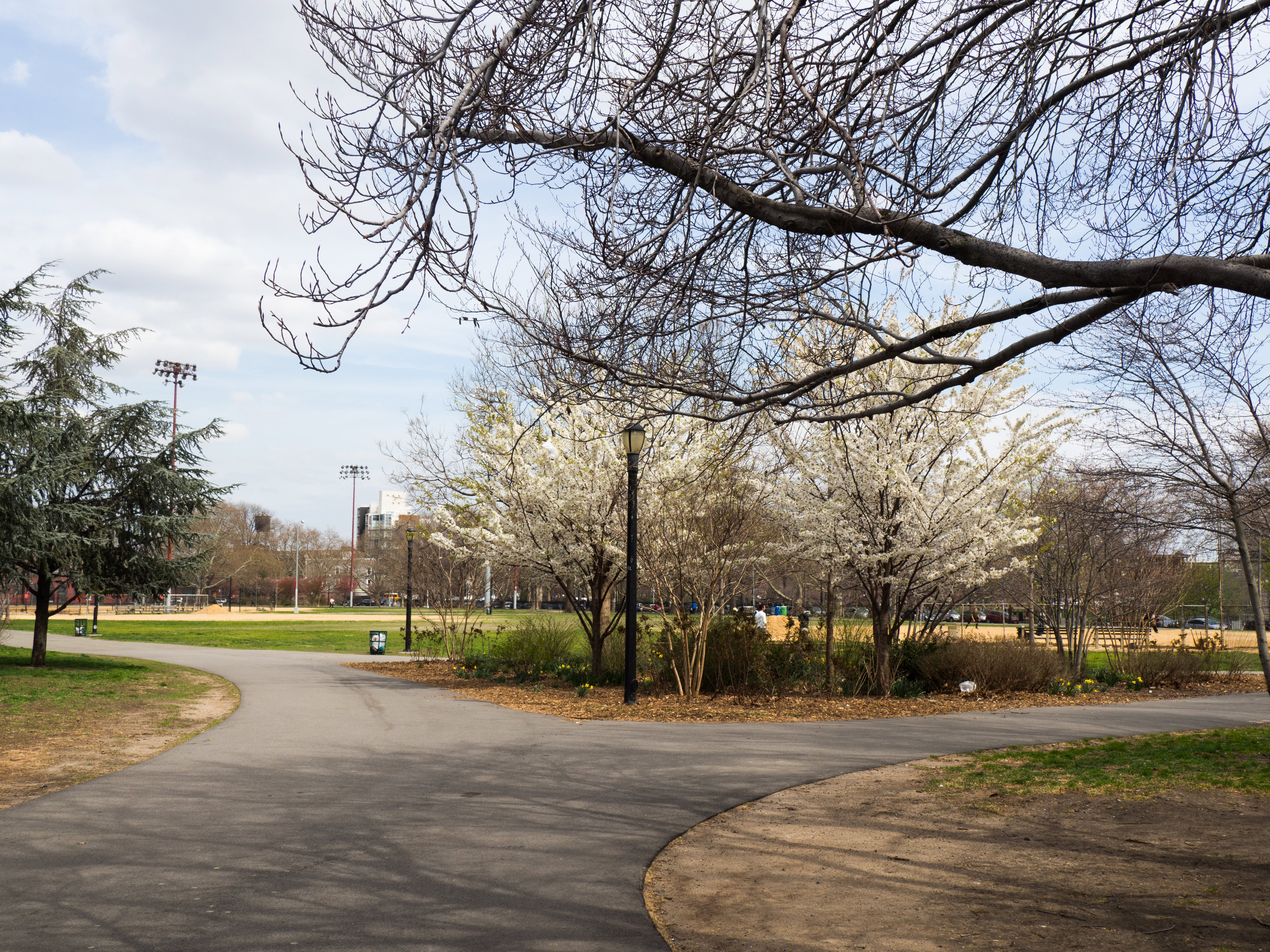 City Park in Spring - Free Stock Photo | FOCA Stock