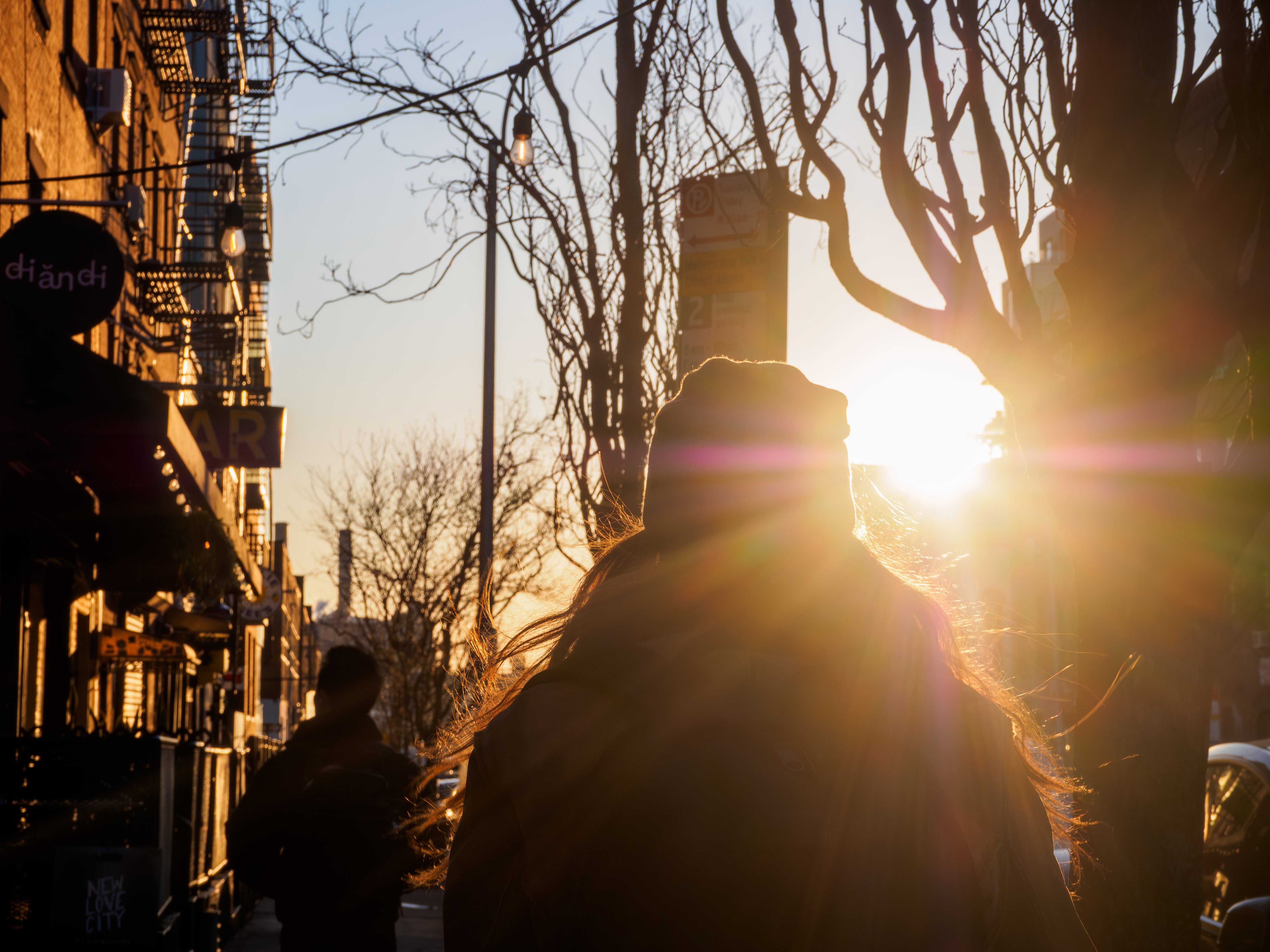 Sunset Silhouette on City Street - Free Stock Photo | FOCA Stock