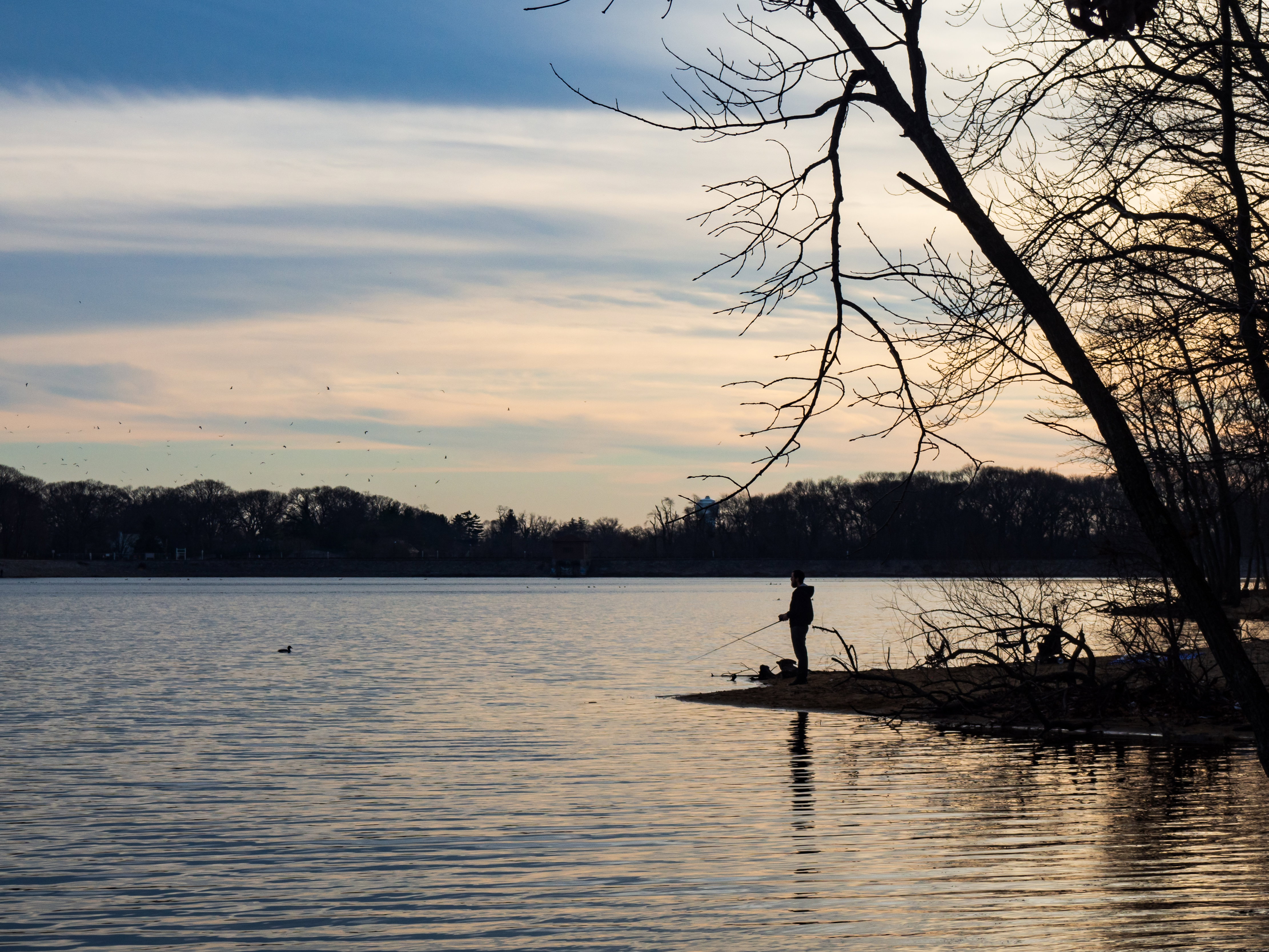 Lake at Sunset - Free Stock Photo | FOCA Stock
